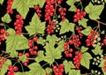 Redcurrant red ribes. Ripe berries. Seamless pattern, background