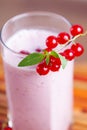 Redcurrant smoothie with mint Royalty Free Stock Photo