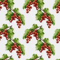 Redcurrant watercolor pattern suitable for various textile and wrapping design projects Royalty Free Stock Photo
