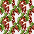 Redcurrant watercolor pattern for textile and fabric design projects Royalty Free Stock Photo