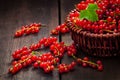 Redcurrant in wicker bowl on the table Royalty Free Stock Photo