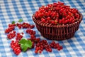 Redcurrant in wicker bowl on the table Royalty Free Stock Photo