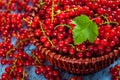 Redcurrant in wicker bowl on the table Royalty Free Stock Photo