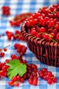 Redcurrant in wicker bowl on the table Royalty Free Stock Photo
