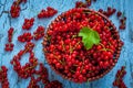Redcurrant in wicker bowl on the table Royalty Free Stock Photo