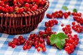 Redcurrant in wicker bowl on the table Royalty Free Stock Photo