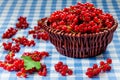 Redcurrant in wicker bowl on the table Royalty Free Stock Photo