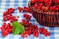 Redcurrant in wicker bowl on the table Royalty Free Stock Photo