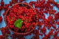 Redcurrant in wicker bowl on the table Royalty Free Stock Photo