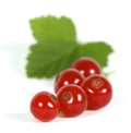 Redcurrants