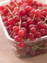 Redcurrants In Packaging Royalty Free Stock Photo