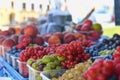 Redcurrants, raspberries, gooseberries, billberries and other fruit and vegetables for sale at local farmers market Royalty Free Stock Photo