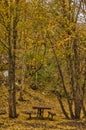 Reddish-colored Picnic Table Royalty Free Stock Photo