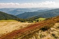 Reddish weathered grassy carpet of hillside