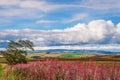 Redesdale Valley and Cheviot Hills Royalty Free Stock Photo