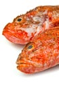Redfish