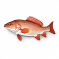 3d Sticker Of Redfish - Full Body On White Background