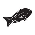 Redfish. Vector illustration decorative design Royalty Free Stock Photo
