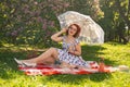 Redhaired pretty pinup woman in vintage summer dress and classic stockings with a seam in the back sits on a blanket on the grass