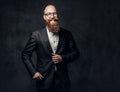 Redhead bearded male in a suit. Royalty Free Stock Photo