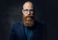 Redhead bearded male in a suit. Royalty Free Stock Photo