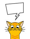 Redhead cat meme with speech bubble. Chat box Royalty Free Stock Photo