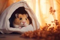 Redhead cute hamster in rodent house