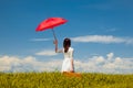 Redhead girl with suitcase standing at wheat field Royalty Free Stock Photo