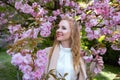 Redhead girl in white shirt stands near sakura in sunny spring weather. Portrait of attractive woman with wavy hair in blooming Royalty Free Stock Photo