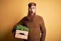 Redhead Irish man with beard holding wooden box with fresh plants over yellow background scared in shock with a surprise face,