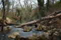 Man crosses a river along a tree log Royalty Free Stock Photo