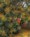 Redhead with a yellow tree Royalty Free Stock Photo