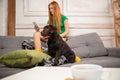 Redhead young little girl using phone sitting with her dog. Lifestyle concept Royalty Free Stock Photo