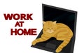 Redheaded lazy Cat Sleeping On Laptop Vector Illustration. Cat And Laptop, Concept White Isolated. Flat Cartoon. Home