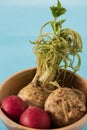 Redish and celery raw foods with blue background