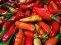 The redness of the cayenne pepper, its warming spiciness Royalty Free Stock Photo