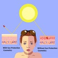 Redness on woman facial and neck skin.Vector Illustration about danger of Ultraviolet