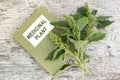 Redroot pigweed (Amaranthus retroflexus) and directory medicinal Royalty Free Stock Photo