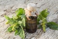 Redroot pigweed (Amaranthus retroflexus) and pharmaceutical bottle