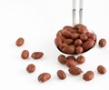 Redskin peanuts Royalty Free Stock Photo