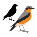 Redstart bird vector illustration flat style black silhouette