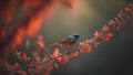 Redstart, Cyornis fuliginosa in Japan. generative ai