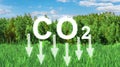 Reduce CO2 emission concept. Renewable energy-based green businesses can limit climate change and global warming. Green grass with