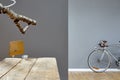 Reduced hipster loft with birch branch espresso and silver bike