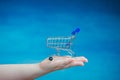 Reduced shopping cart for products on a female hand Royalty Free Stock Photo