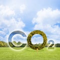 Reduction of the amount of CO2 emissions - concept with CO2 icon text and tree shape in rural scene with green mowed lawn with