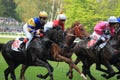 Redul in steeplechase in Lysa nad Labem Royalty Free Stock Photo