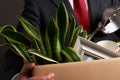 Redundant Businessman With Possessions In Box