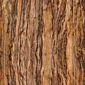 Redwood Bark for background Royalty Free Stock Photo