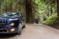 Offroad car on a dirt road in a forest, California USA Royalty Free Stock Photo